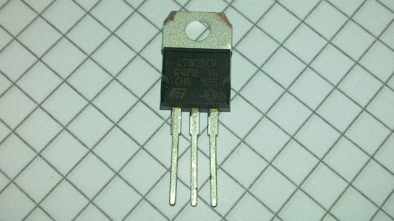 Datei:Nase 20110718 008.jpg